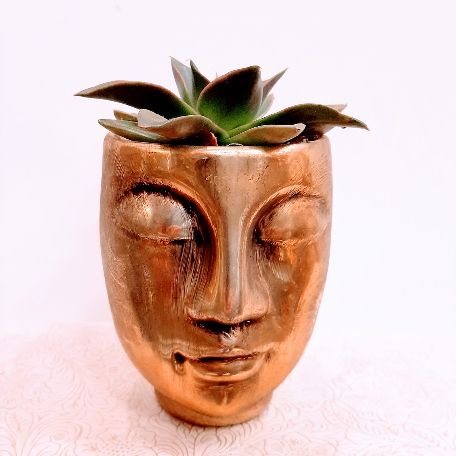 face pots plants
